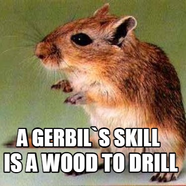 a-gerbils-skill-is-a-wood-to-drill