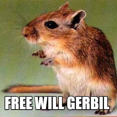 free-will-gerbil
