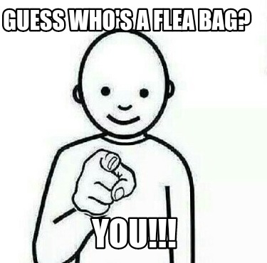 guess-whos-a-flea-bag-you