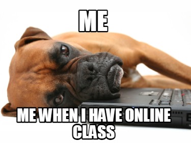 me-me-when-i-have-online-class
