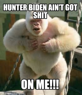 hunter-biden-aint-got-shit-on-me