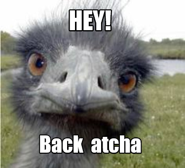 hey-back-atcha