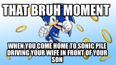 that-bruh-moment-when-you-come-home-to-sonic-pile-driving-your-wife-in-front-of-