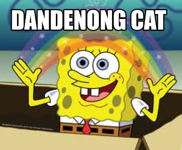 dandenong-cat