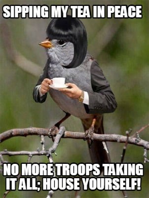 sipping-my-tea-in-peace-no-more-troops-taking-it-all-house-yourself