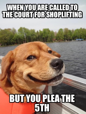 when-you-are-called-to-the-court-for-shoplifting-but-you-plea-the-5th