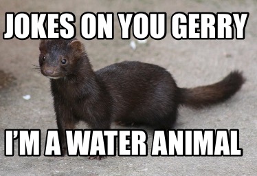 jokes-on-you-gerry-im-a-water-animal