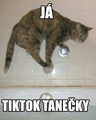 j-tiktok-taneky