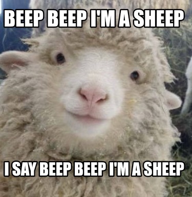 beep-beep-im-a-sheep-i-say-beep-beep-im-a-sheep