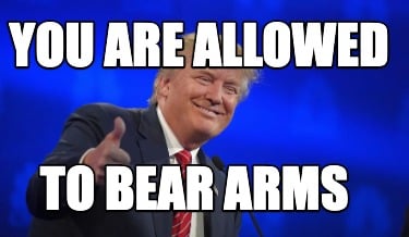 you-are-allowed-to-bear-arms