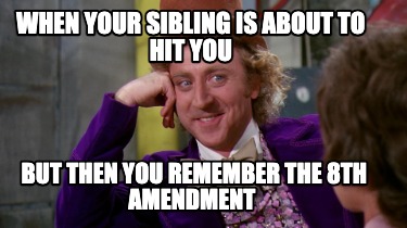 when-your-sibling-is-about-to-hit-you-but-then-you-remember-the-8th-amendment