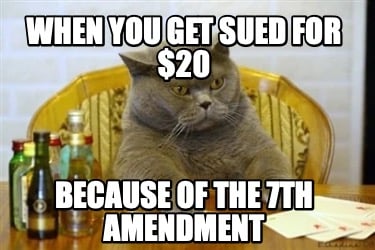 when-you-get-sued-for-20-because-of-the-7th-amendment0