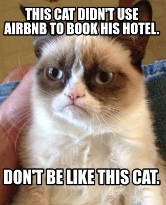 this-cat-didnt-use-airbnb-to-book-his-hotel.-dont-be-like-this-cat