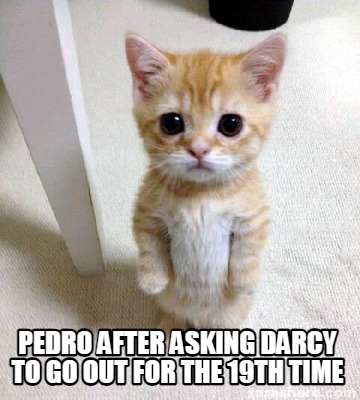 pedro-after-asking-darcy-to-go-out-for-the-19th-time
