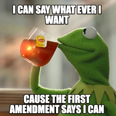 i-can-say-what-ever-i-want-cause-the-first-amendment-says-i-can