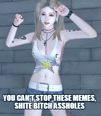 you-cant-stop-these-memes-shite-bitch-assholes
