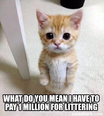 what-do-you-mean-i-have-to-pay-1-million-for-littering
