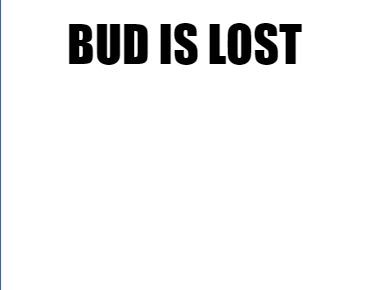 bud-is-lost