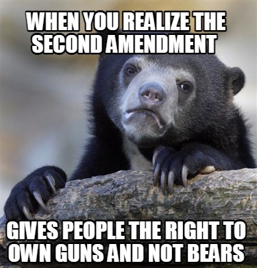when-you-realize-the-second-amendment-gives-people-the-right-to-own-guns-and-not