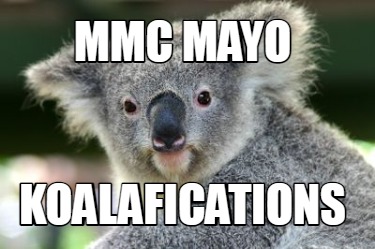 mmc-mayo-koalafications