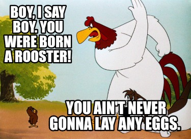 boy-i-say-boy.-you-were-born-a-rooster-you-aint-never-gonna-lay-any-eggs