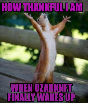 how-thankful-i-am-when-ozarknft-finally-wakes-up1