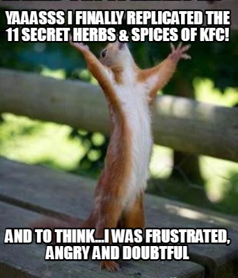 yaaasss-i-finally-replicated-the-11-secret-herbs-spices-of-kfc-and-to-think...i-