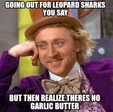 going-out-for-leopard-sharks-you-say-but-then-realize-theres-no-garlic-butter