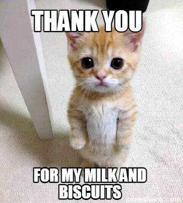 thank-you-for-my-milk-and-biscuits