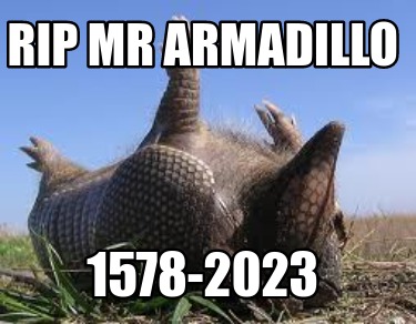 rip-mr-armadillo-1578-2023