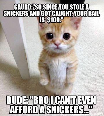 gaurdso-since-you-stole-a-snickers-and-got-caught-your-bail-is-100.-dude-bro-i-c