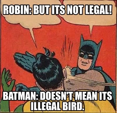 robin-but-its-not-legal-batman-doesnt-mean-its-illegal-bird