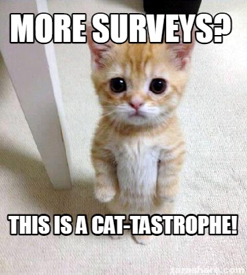more-surveys-this-is-a-cat-tastrophe