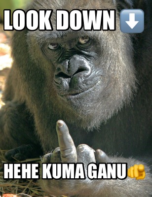 look-down-hehe-kuma-ganu