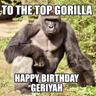 to-the-top-gorilla-happy-birthday-geriyah