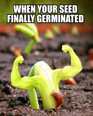 when-your-seed-finally-germinated