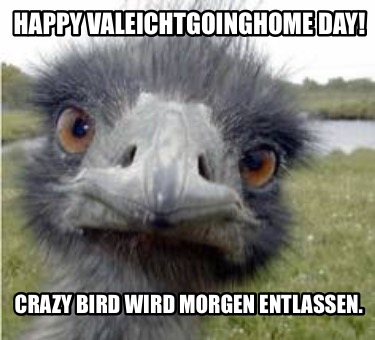 happy-valeichtgoinghome-day-crazy-bird-wird-morgen-entlassen