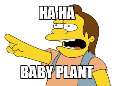 ha-ha-baby-plant