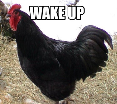 wake-up95