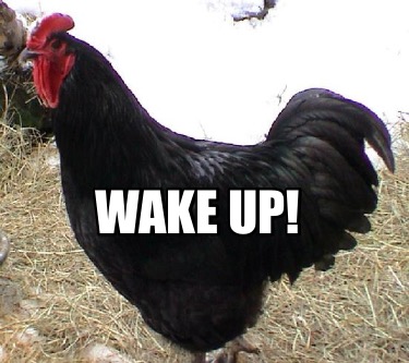 wake-up45