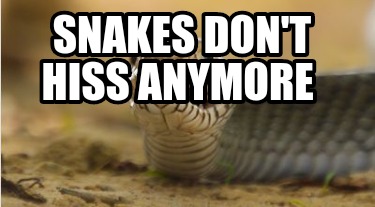 Meme Creator - Funny Snakes don't hiss anymore Meme Generator at ...