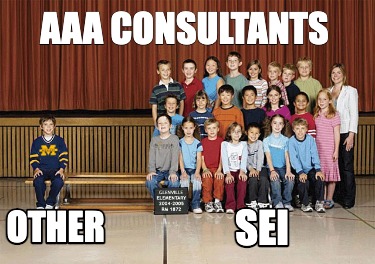 sei-aaa-consultants-other