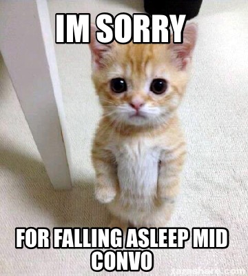 Meme Creator - Funny Im sorry for falling asleep mid convo Meme Generator  at MemeCreator.org!