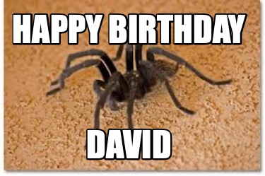 happy-birthday-david26
