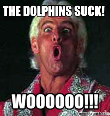the-dolphins-suck