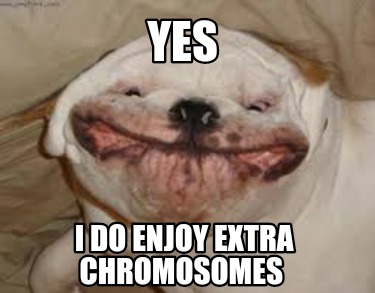 yes-i-do-enjoy-extra-chromosomes
