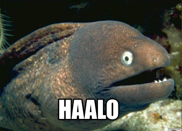 haalo