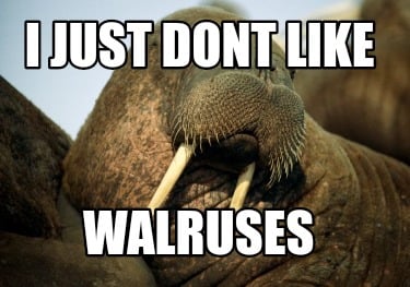 i-just-dont-like-walruses