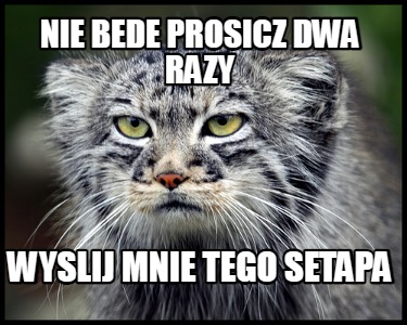 nie-bede-prosicz-dwa-razy-wyslij-mnie-tego-setapa
