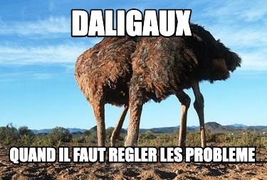 daligaux-quand-il-faut-regler-les-probleme